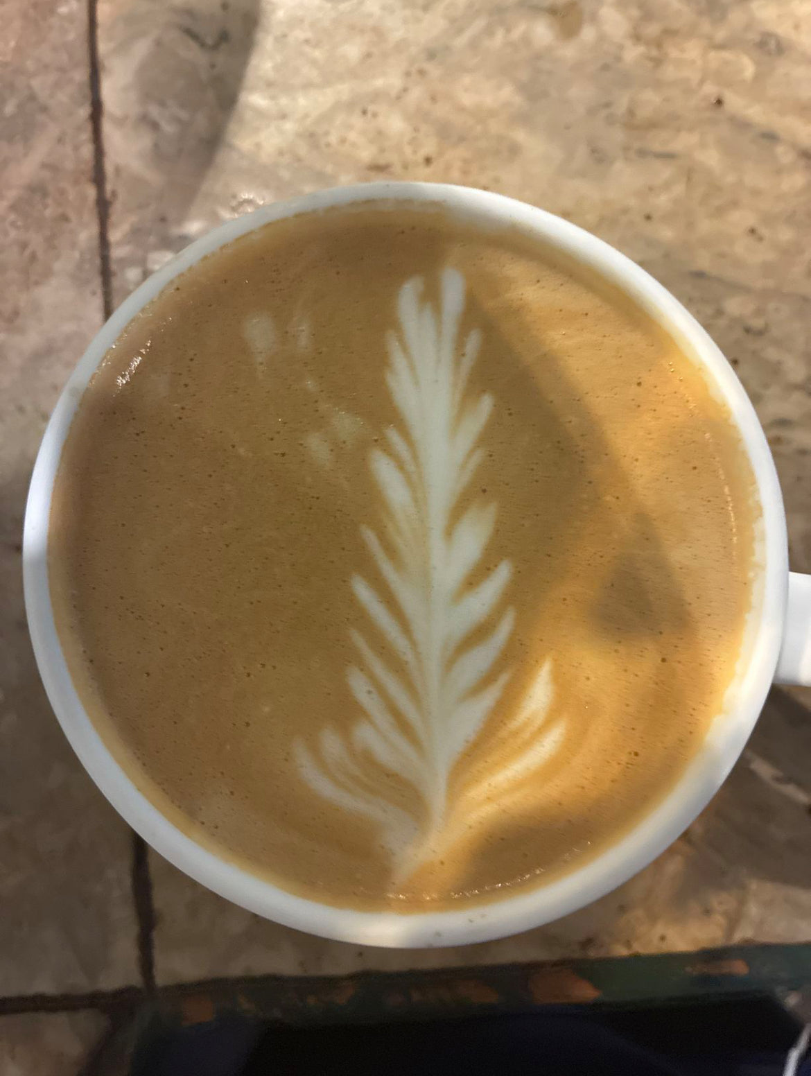 Sumatran